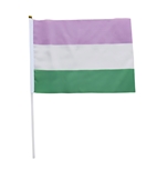 Gender Queer 20 x 27 cm hand Flag